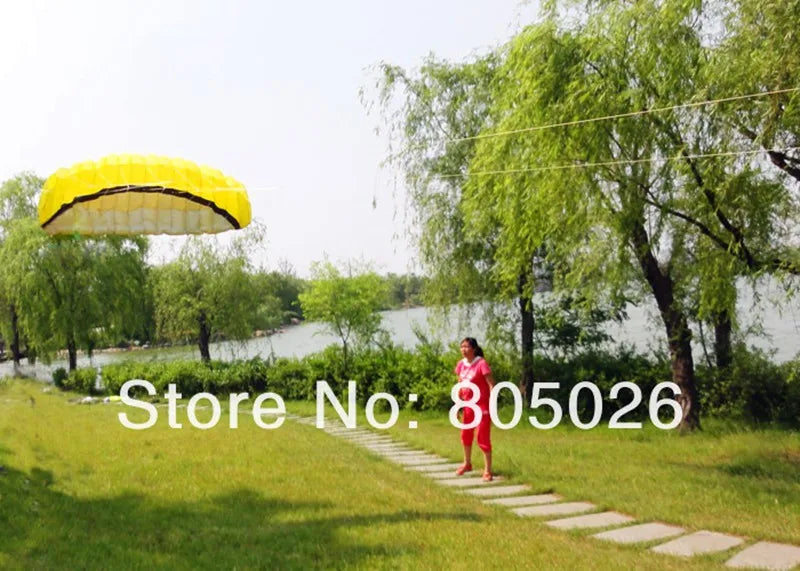 Frete grátis 2,5 m linha dupla Stunt power Kite soft kite Parafoil kite surf voando diversão ao ar livre esportes pipas kiteboard fábrica koi