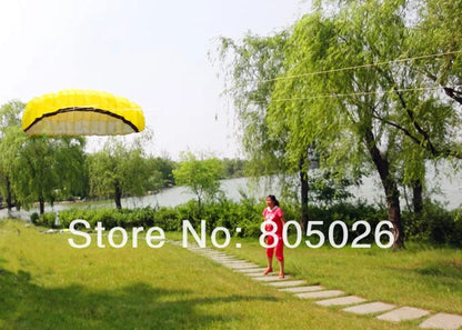 Frete grátis 2,5 m linha dupla Stunt power Kite soft kite Parafoil kite surf voando diversão ao ar livre esportes pipas kiteboard fábrica koi
