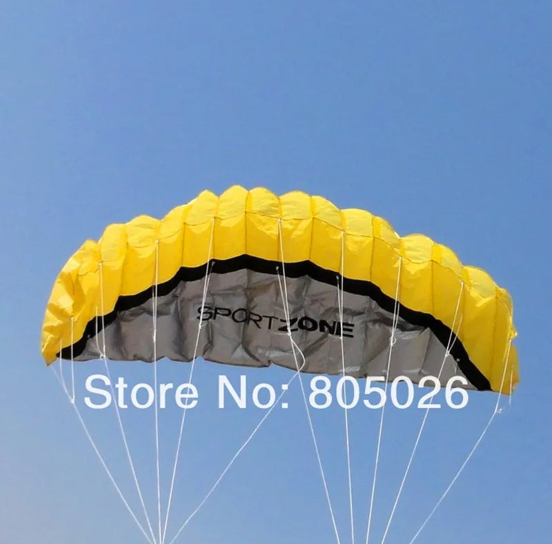 Frete grátis 2,5 m linha dupla Stunt power Kite soft kite Parafoil kite surf voando diversão ao ar livre esportes pipas kiteboard fábrica koi